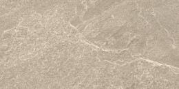 Centre Beige Porcelain Wall & Floor Tile 300x600mm